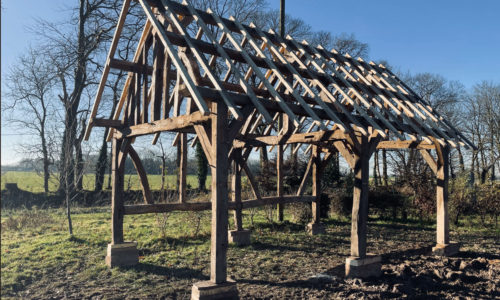 abri de jardin chêne ancien